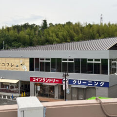 【もう一つのDIY】スクールの「顔」作り！看板デザインの裏側、大公開！