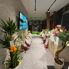 【夢、叶う日】消防検査、合格しました！そして、溢れるほどの「おめでとう」を、本当にありがとうございます！